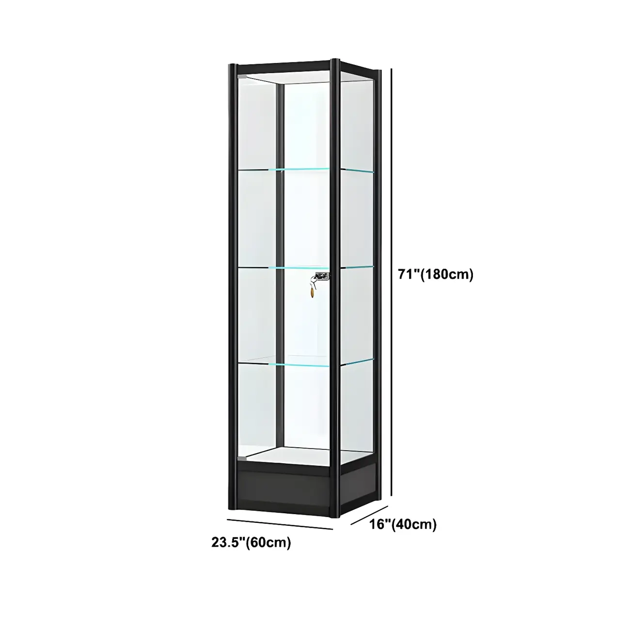 Rectangular Black Glass Metal Curio Display Cabinet Image - 17 | homeyfad