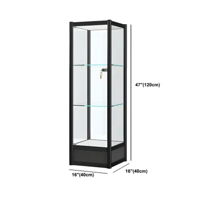 Rectangular Black Glass Metal Curio Display Cabinet Image - 19