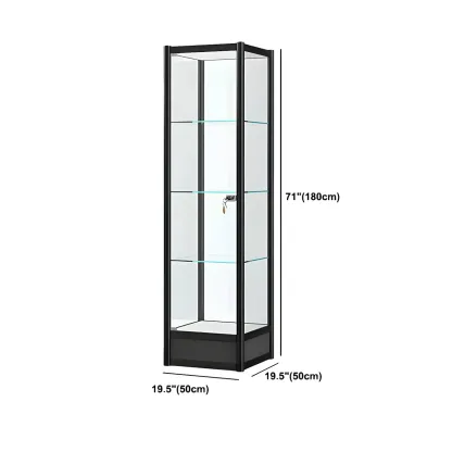 Rectangular Black Glass Metal Curio Display Cabinet Image - 20