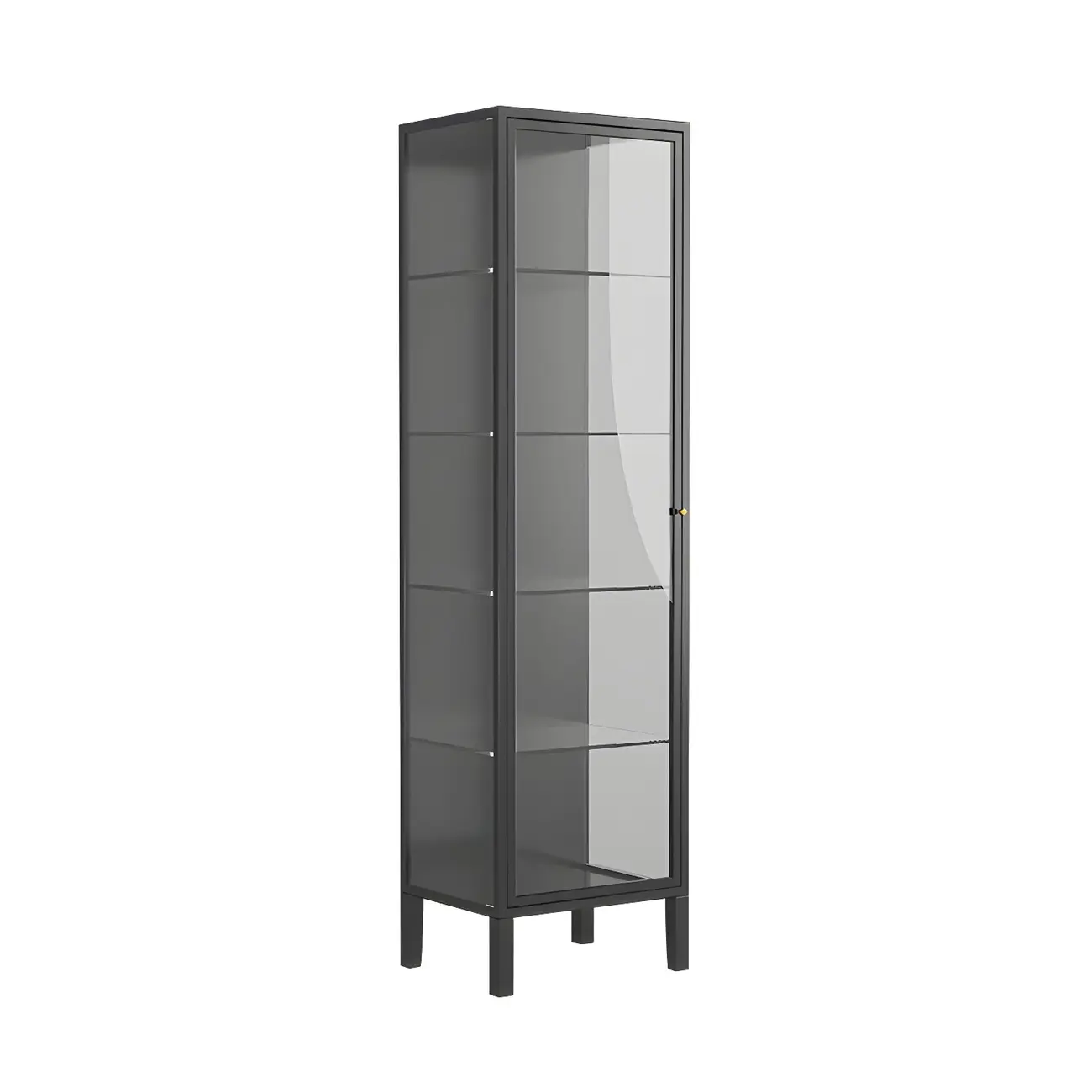 Minimalist Metal Display Cabinet with Glass Doors for Living Room Image - 4 | homeyfad