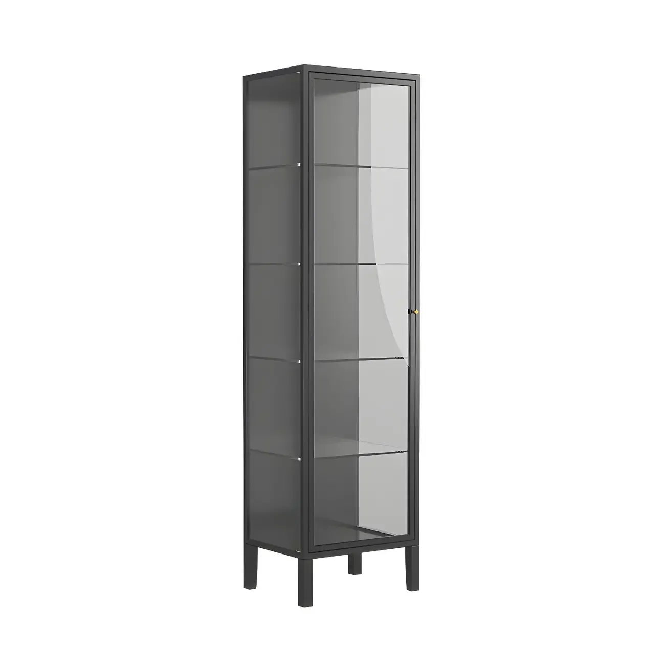 Minimalist Metal Display Cabinet with Glass Doors for Living Room Image - 4
