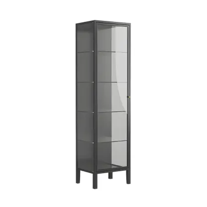 Minimalist Metal Display Cabinet with Glass Doors for Living Room Image - 4