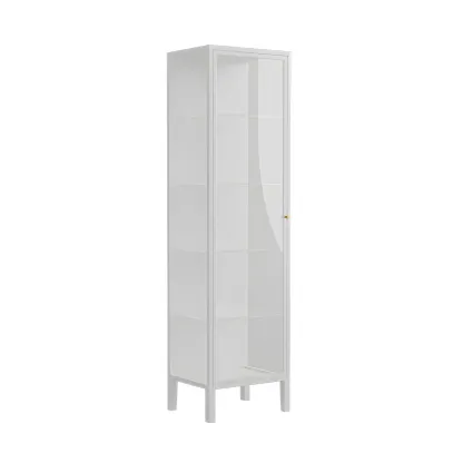 Minimalist Metal Display Cabinet with Glass Doors for Living Room Image - 5