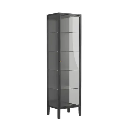 Minimalist Metal Display Cabinet with Glass Doors for Living Room Image - 8