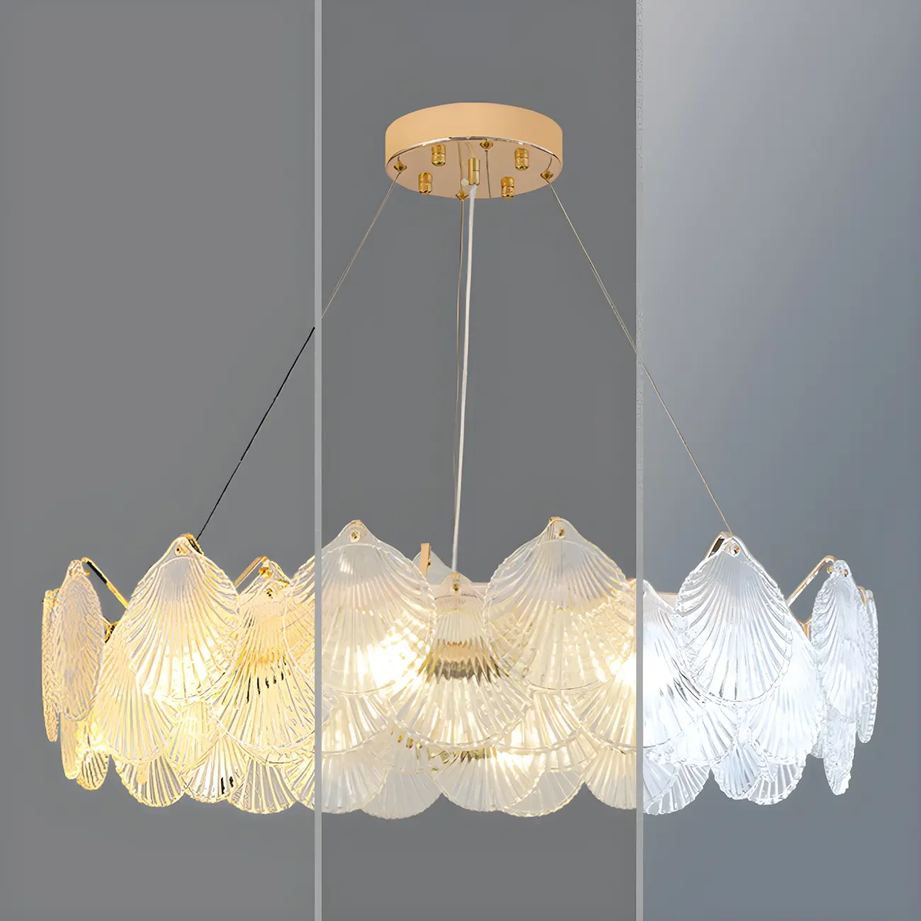 Modern Gold Shell Chandelier for Living Room Image - 11 | homeyfad