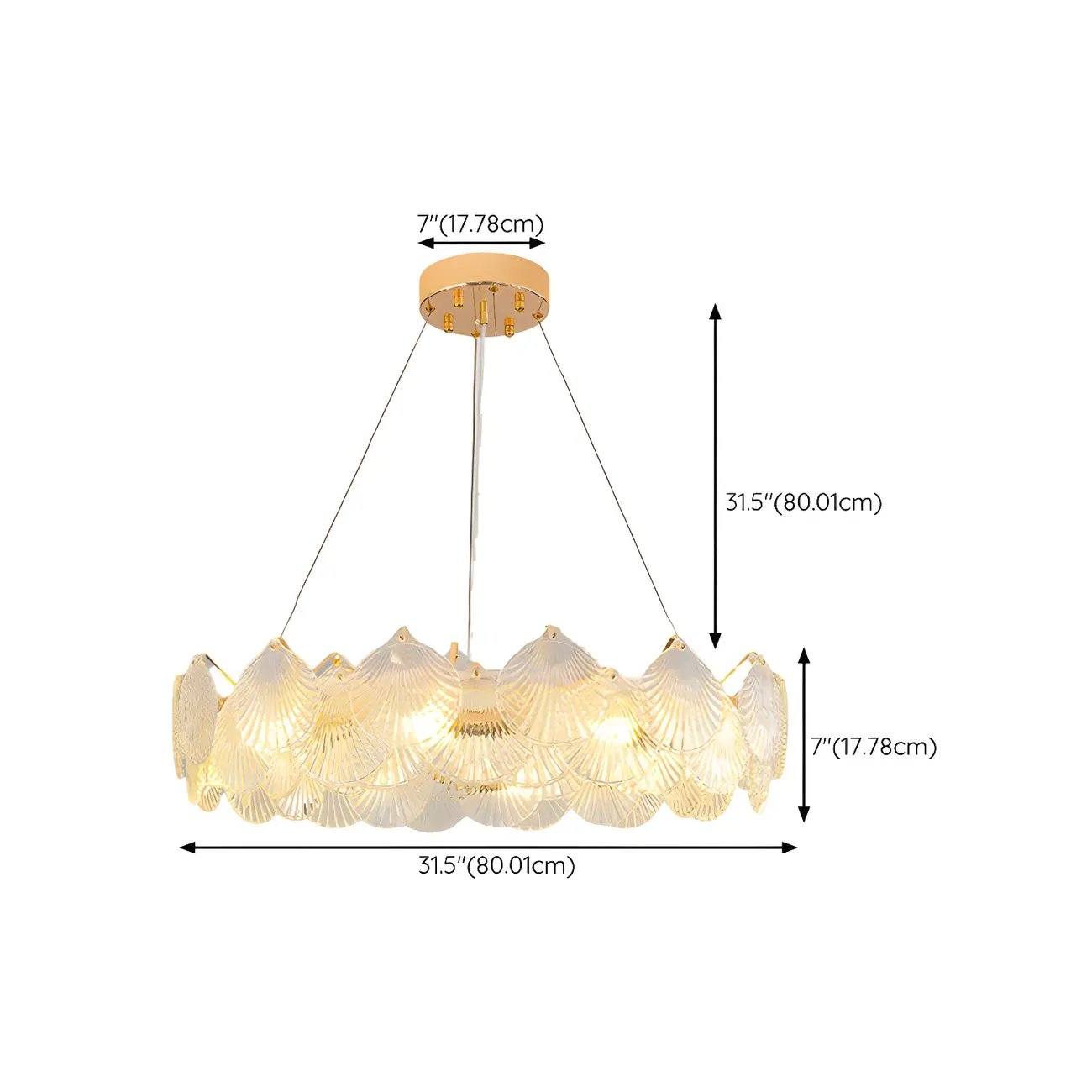 Modern Gold Shell Chandelier for Living Room #size