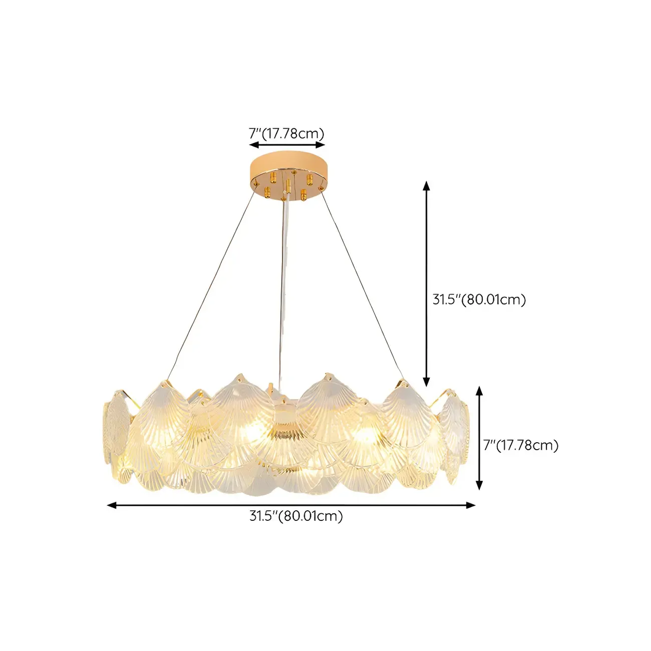 Modern Gold Shell Chandelier for Living Room #size