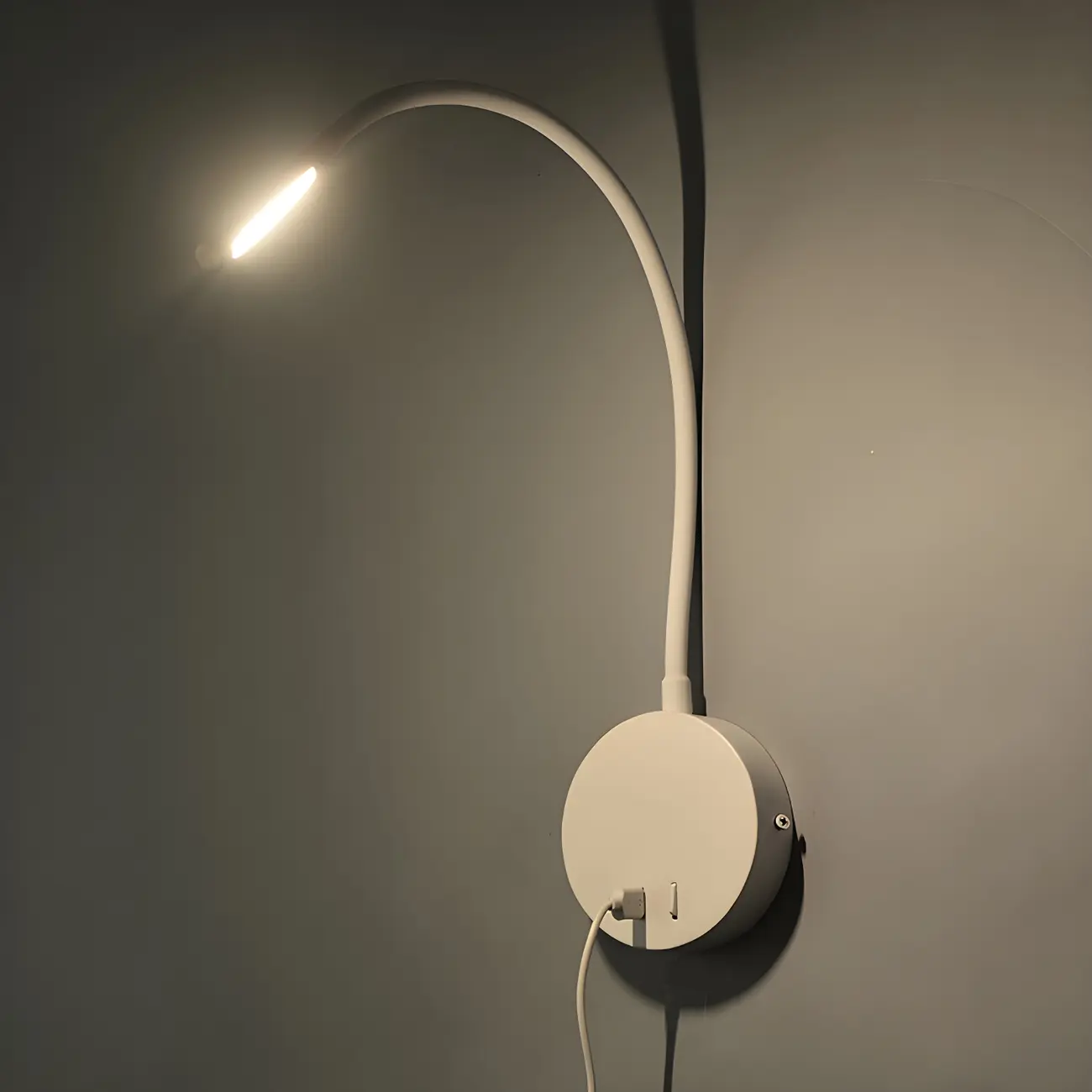 Minimalist Flexible Hose Swing Arm Wall Light Image - 8 | homeyfad