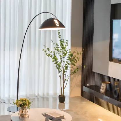 Black Dome Iron Arched Floor Lamp with Foot Switch Image - 5