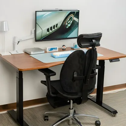 Modern Rubberwood Adjustable Standing Desk with Monitor Stand Image - 4