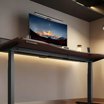 Modern Rubberwood Adjustable Standing Desk with Monitor Stand Image - 13