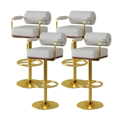 Stylish Leather Adjustable Bar Stools with Backrest for Home Bar Image - 20