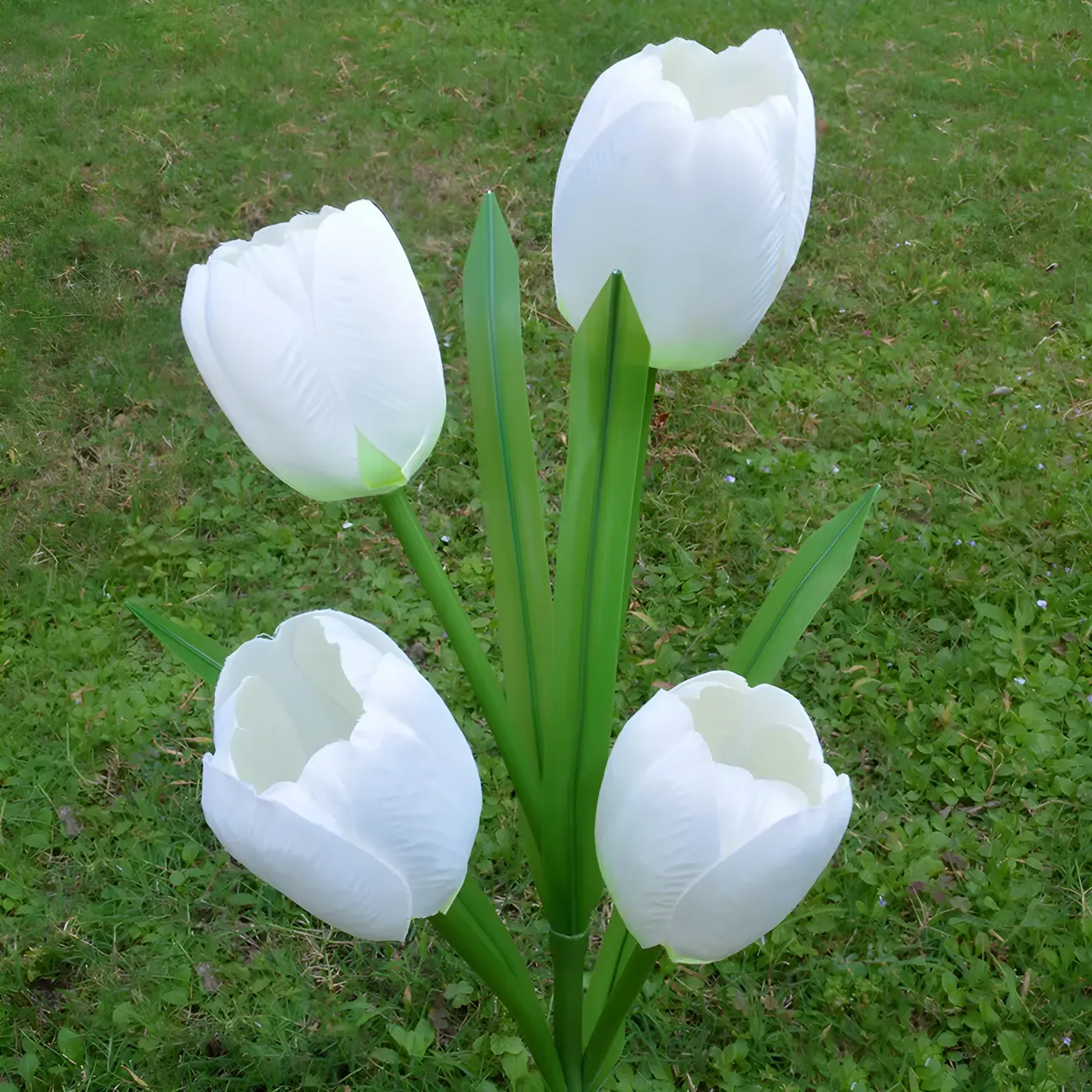 Modern Tulip Solar LED Decorative Landscape Lighting Image - 3