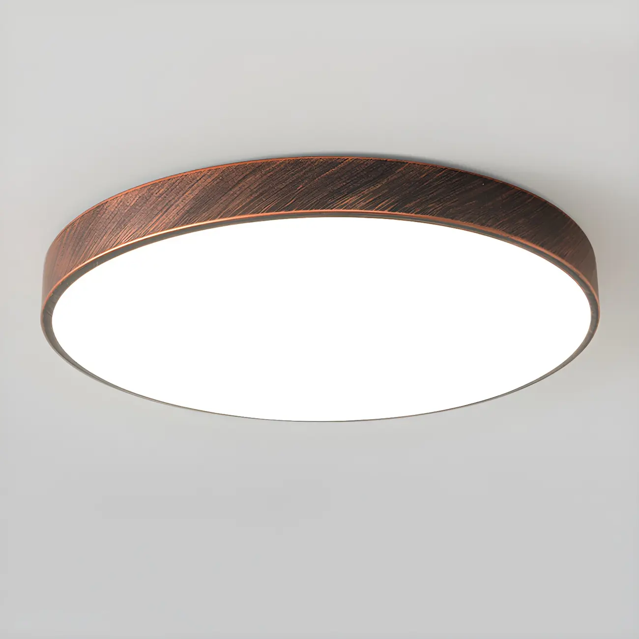 Minimalist Round Rust LED Dimmable Flush Ceiling Light Image - 6 | homeyfad