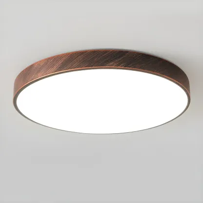 Rust Modern LED Flush Mount Ceiling Light for Home Image - 6