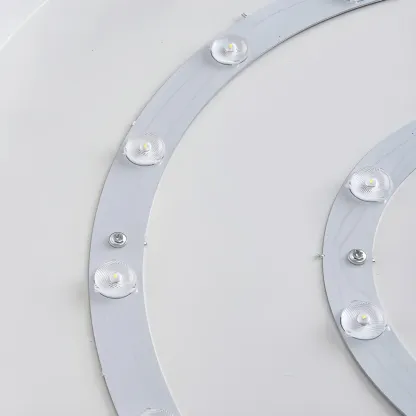 Rust Modern LED Flush Mount Ceiling Light for Home Image - 7