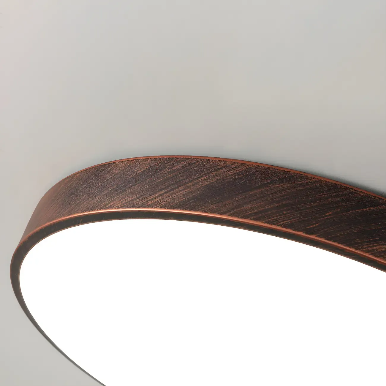 Rust Modern LED Flush Mount Ceiling Light for Home Image - 8