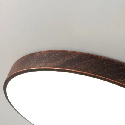 Rust Modern LED Flush Mount Ceiling Light for Home Image - 8