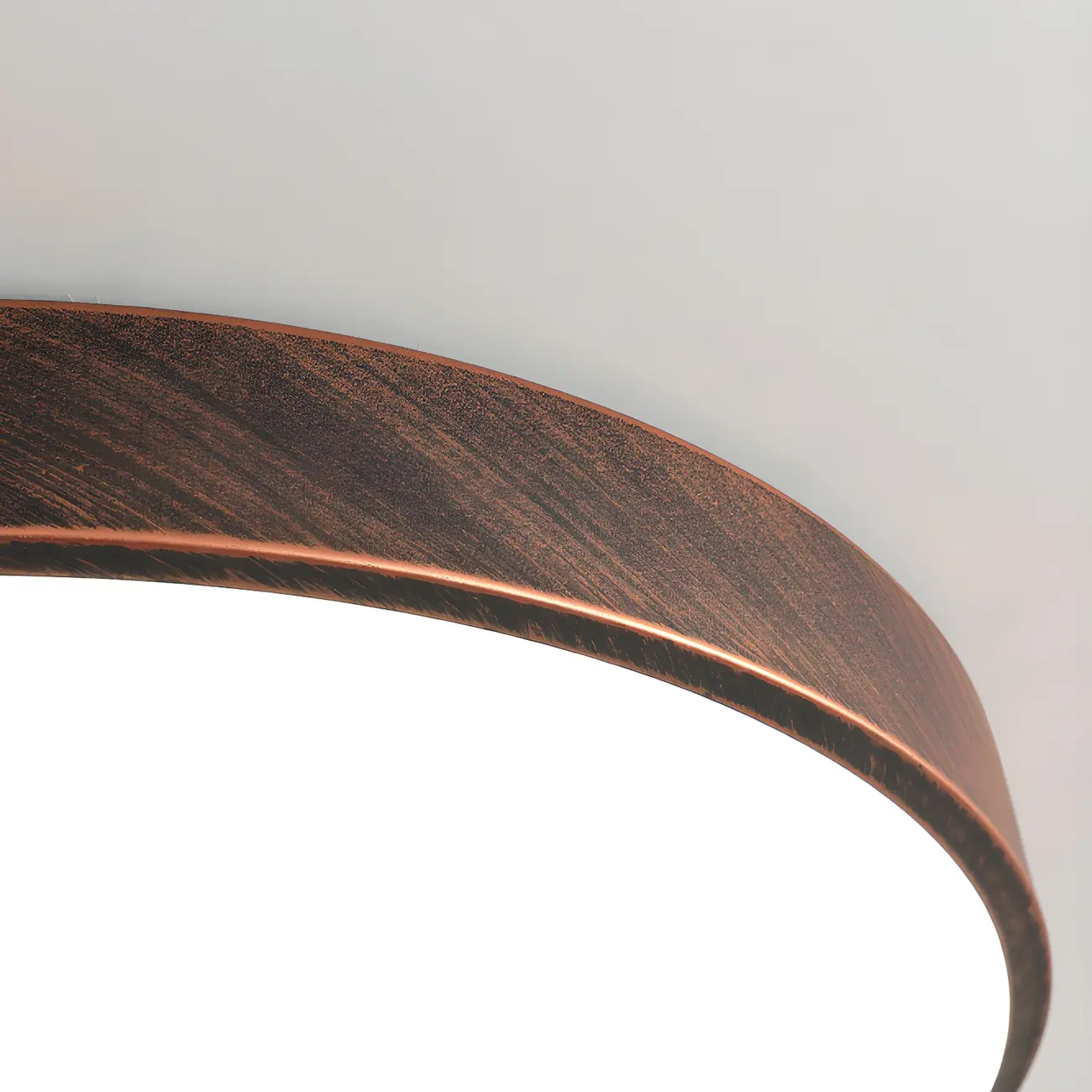 Minimalist Round Rust LED Dimmable Flush Ceiling Light Image - 9 | homeyfad