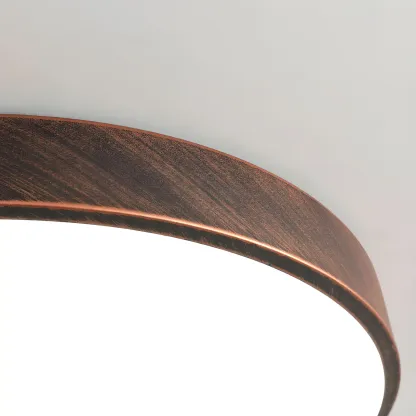 Rust Modern LED Flush Mount Ceiling Light for Home Image - 9