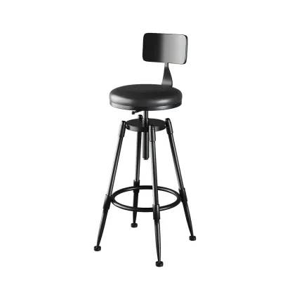 Industrial Metal Adjustable Bar Stools with Backrest for Home Bar Image - 21