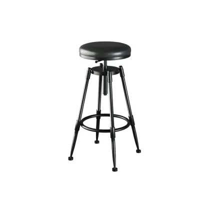 Industrial Metal Adjustable Bar Stools with Backrest for Home Bar Image - 3
