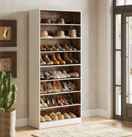 booksshelf storage shoe
