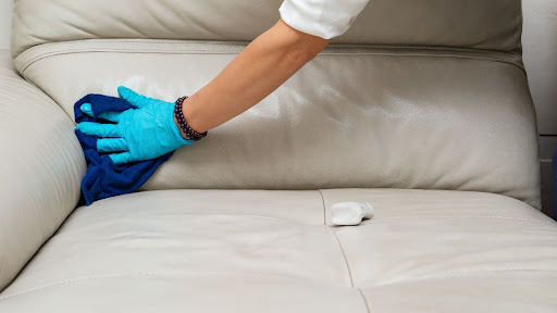 Start with Daily Dusting