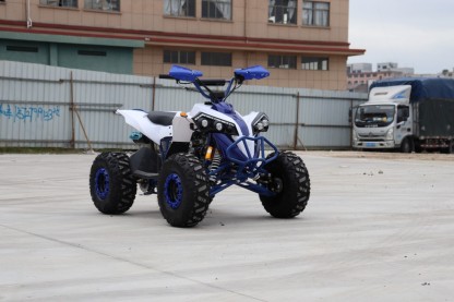 Xpkd031