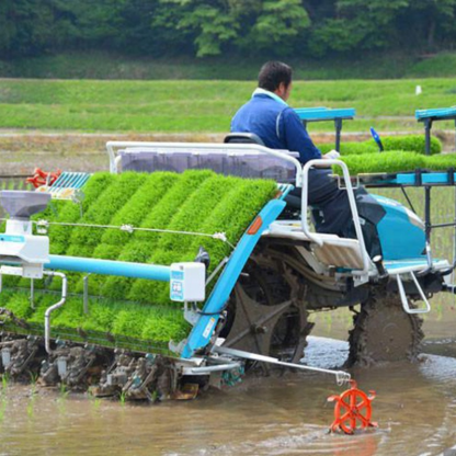 Rice Transplanter