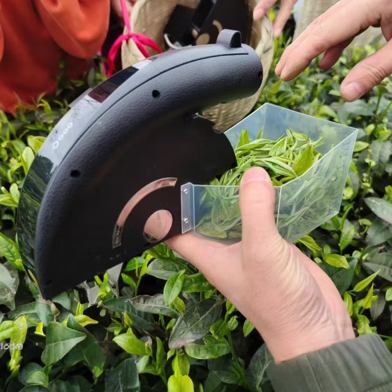 T-Tea Leaves Picking Machine