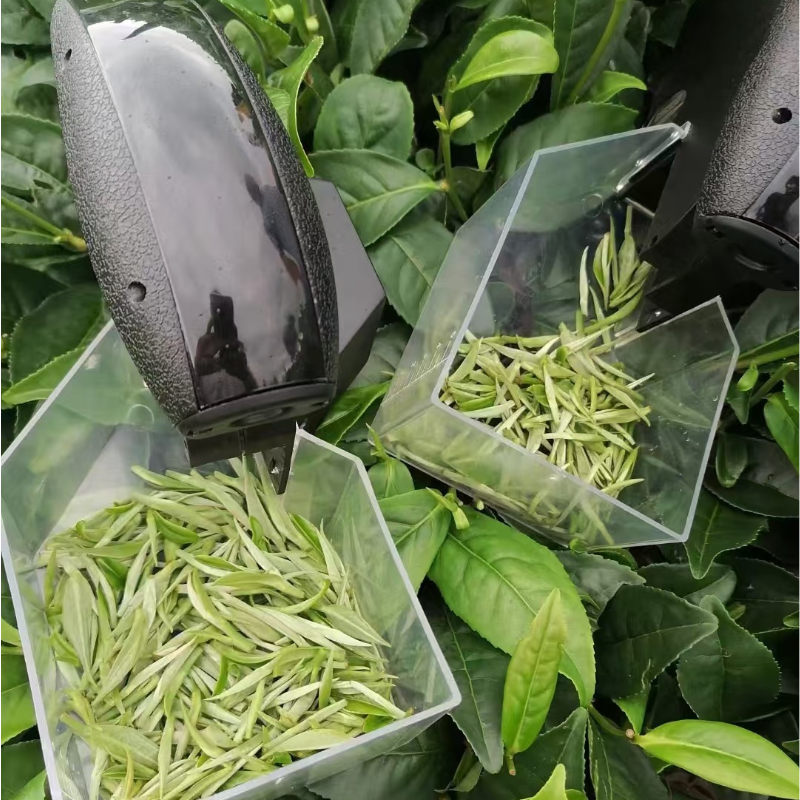 T-Tea Leaves Picking Machine