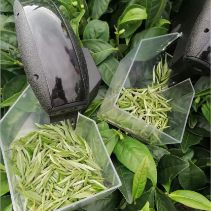 T-Tea Leaves Picking Machine