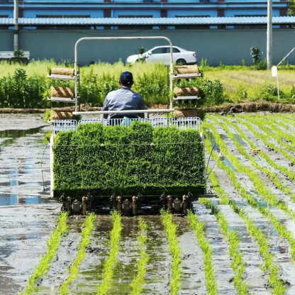 Rice Transplanter
