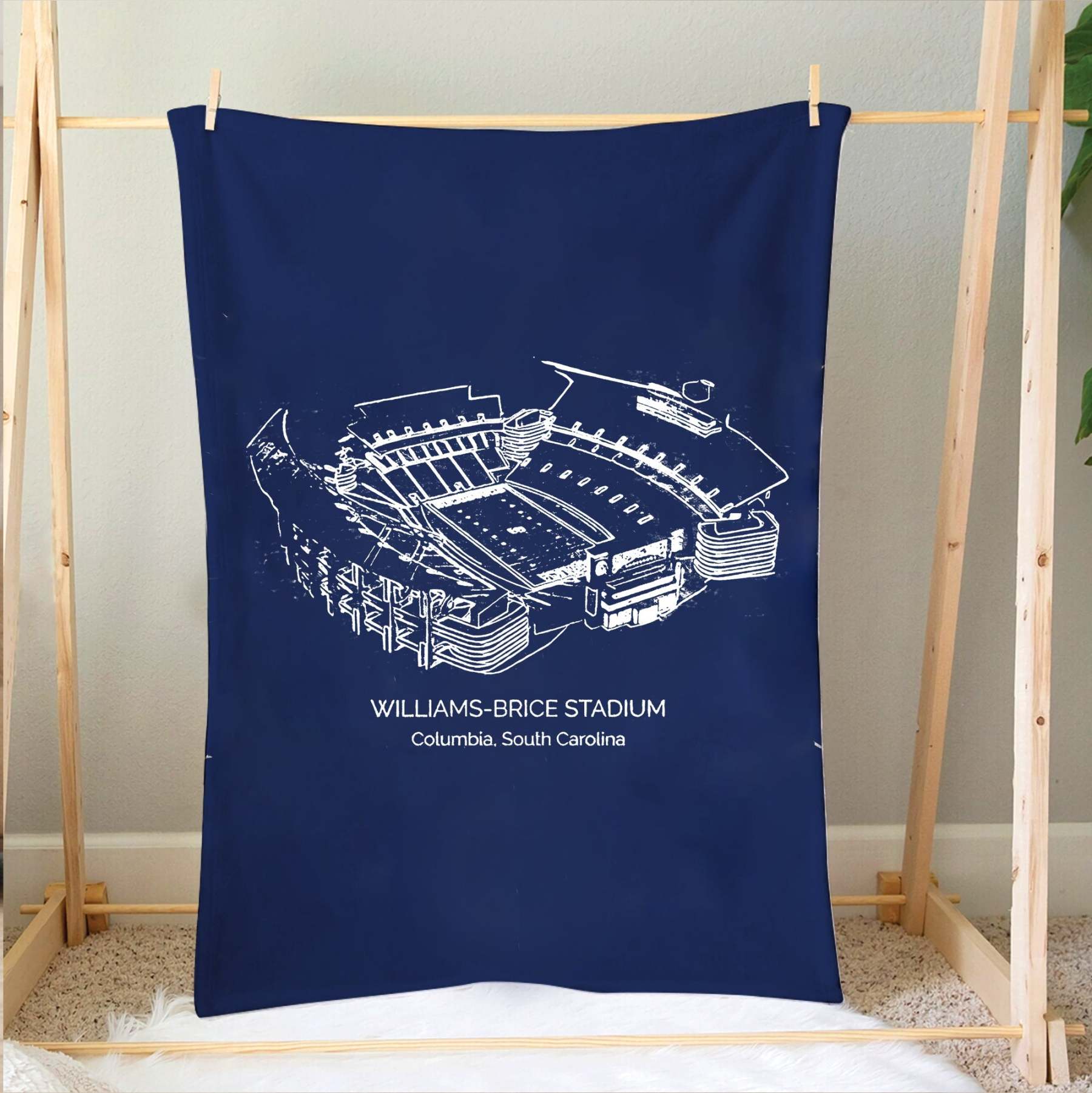 Williams–Brice Stadium - South Carolina Gamecocks football