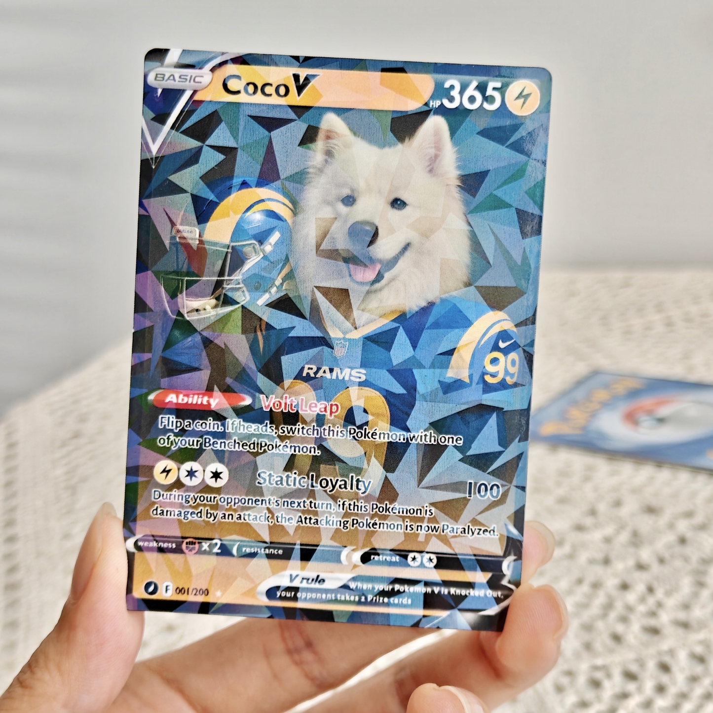Custom Pet American Football Card