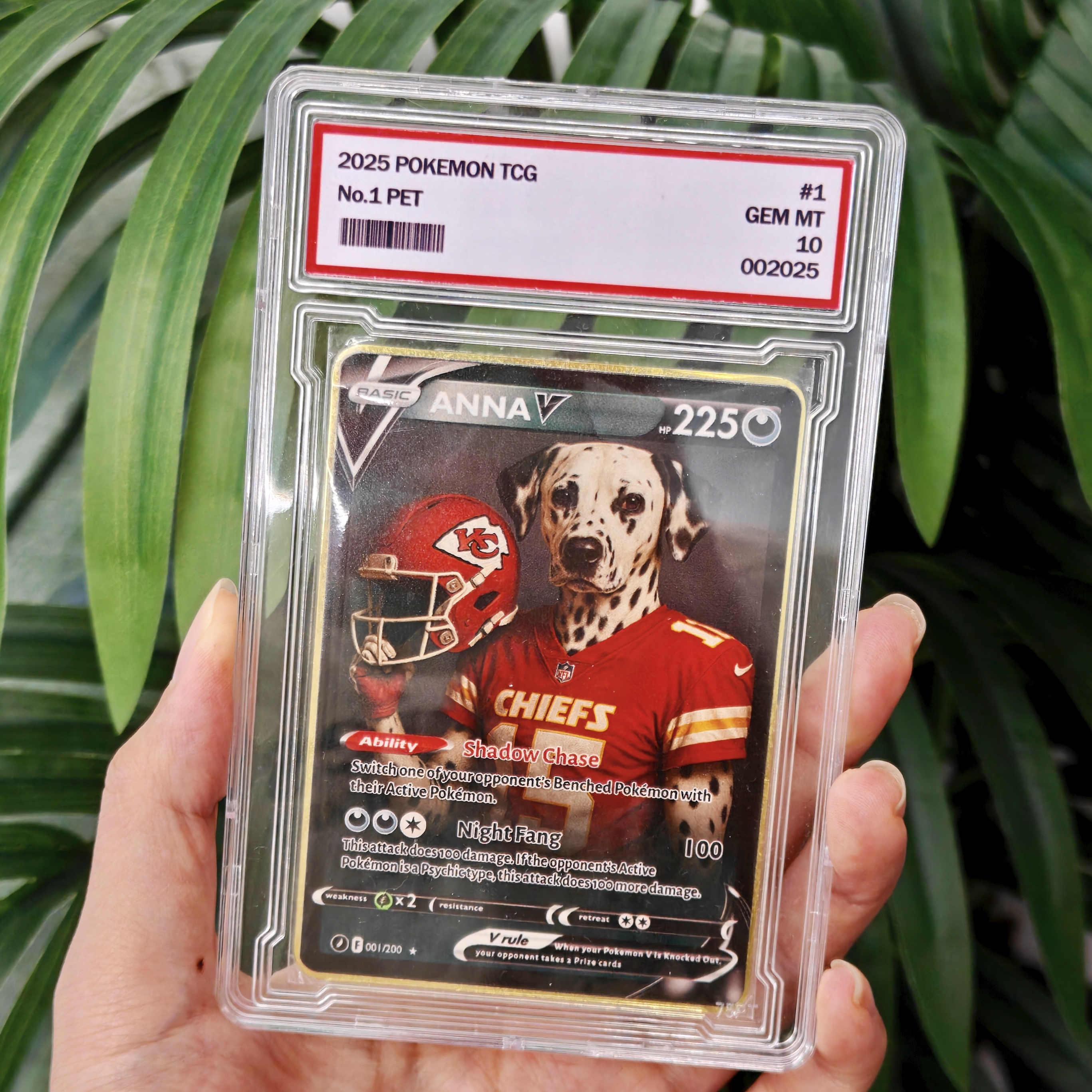 Custom Pet American Football Card