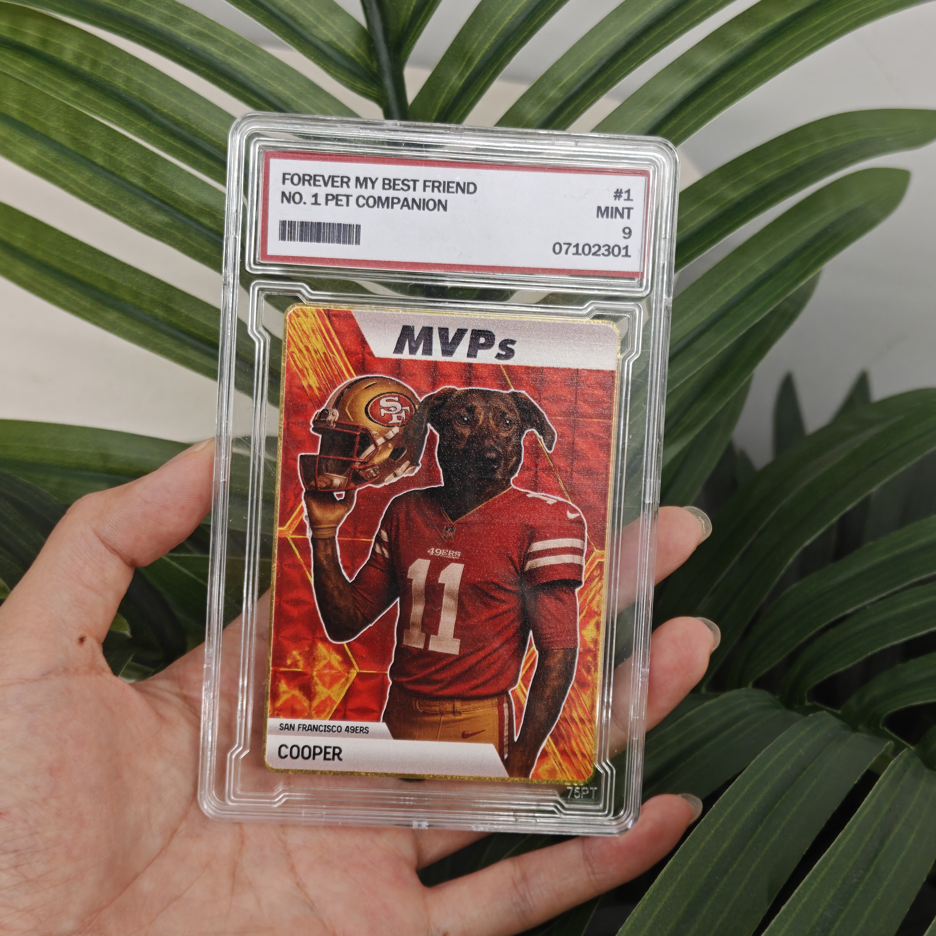 Custom Sci-Fi Football Star Pet Cards - Unleash Your Pet's Inner MVP