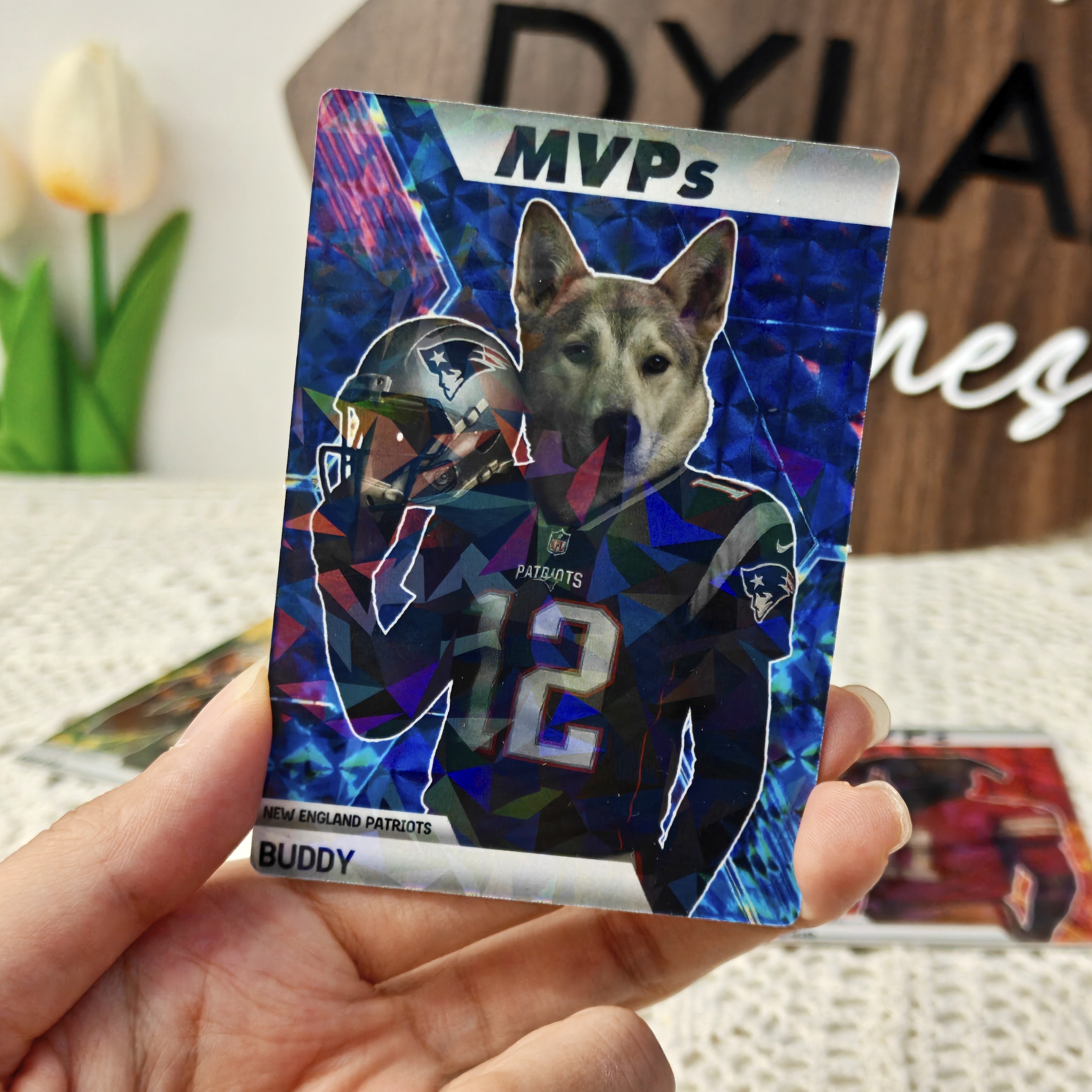 Custom Sci-Fi Football Star Pet Cards - Unleash Your Pet's Inner MVP