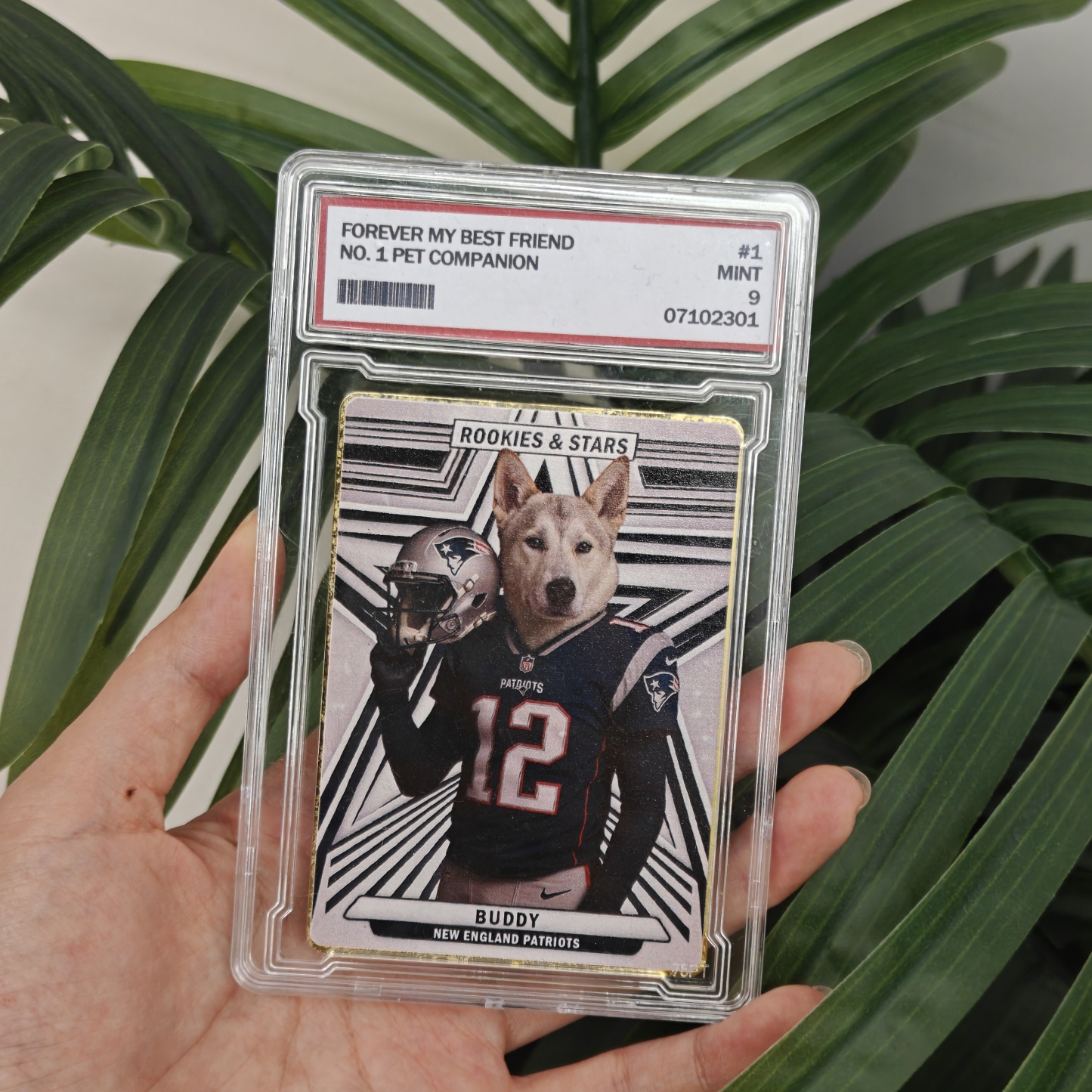 Custom Sci-Fi Football Star Pet Cards - Unleash Your Pet's Inner MVP