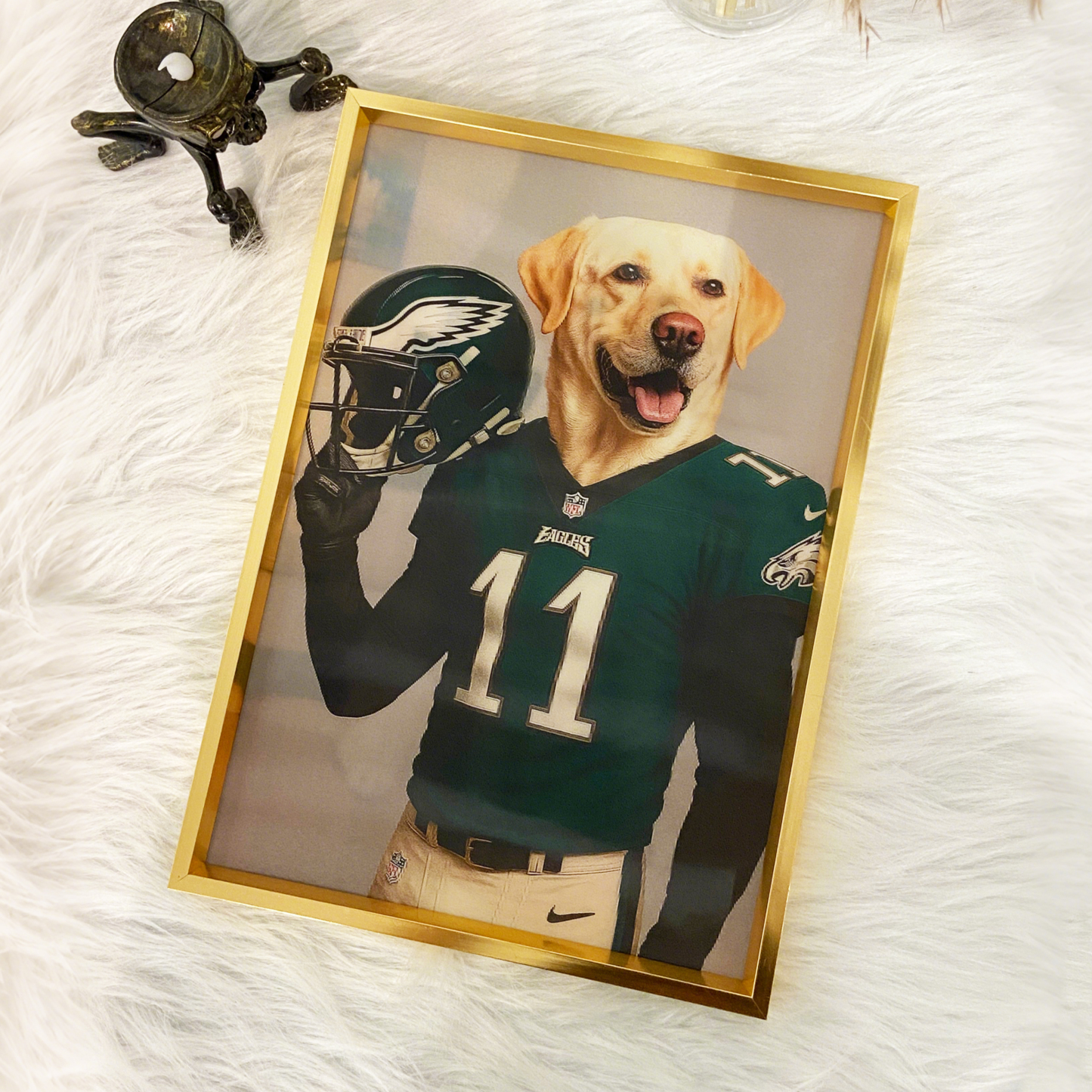 Custom NFL Raster Pet Portraits