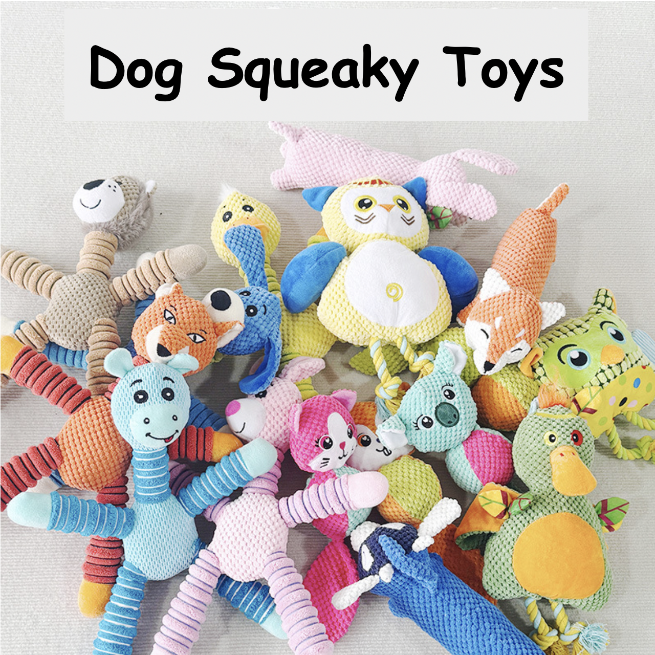 Dog Squeaky Toys