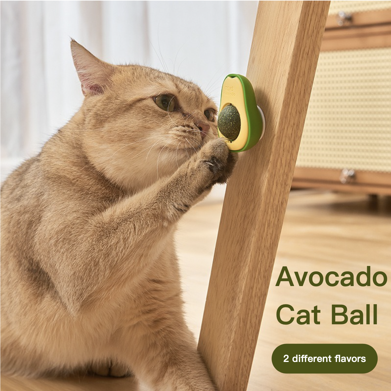 Avocado Cat Ball 360 ° Rotatable Mint Galls Fruit Flavors Biomimetic Odor