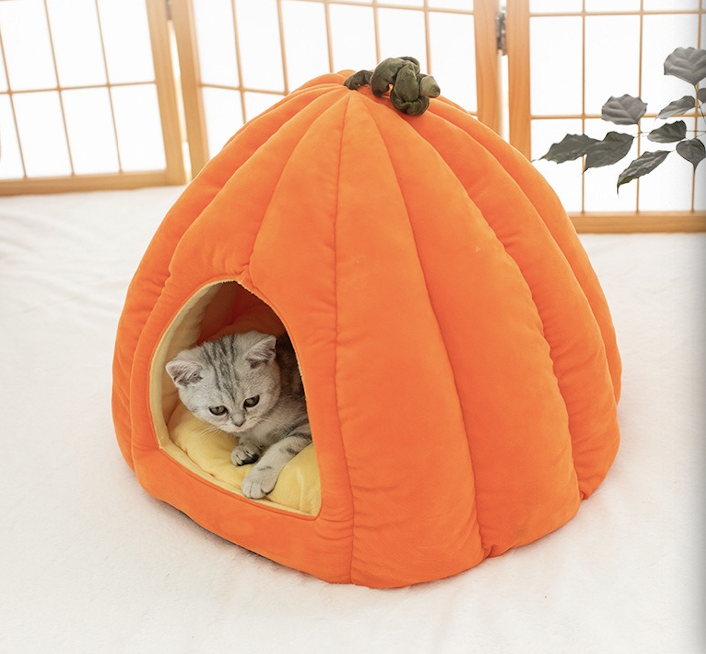 Pet Beds & Pet Cages