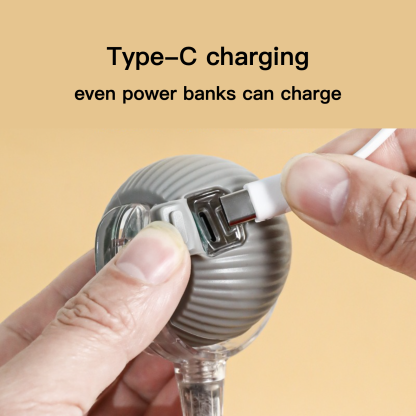 Cute Long Tail Cat Teasing Ball Rechargeable Protruding Ball