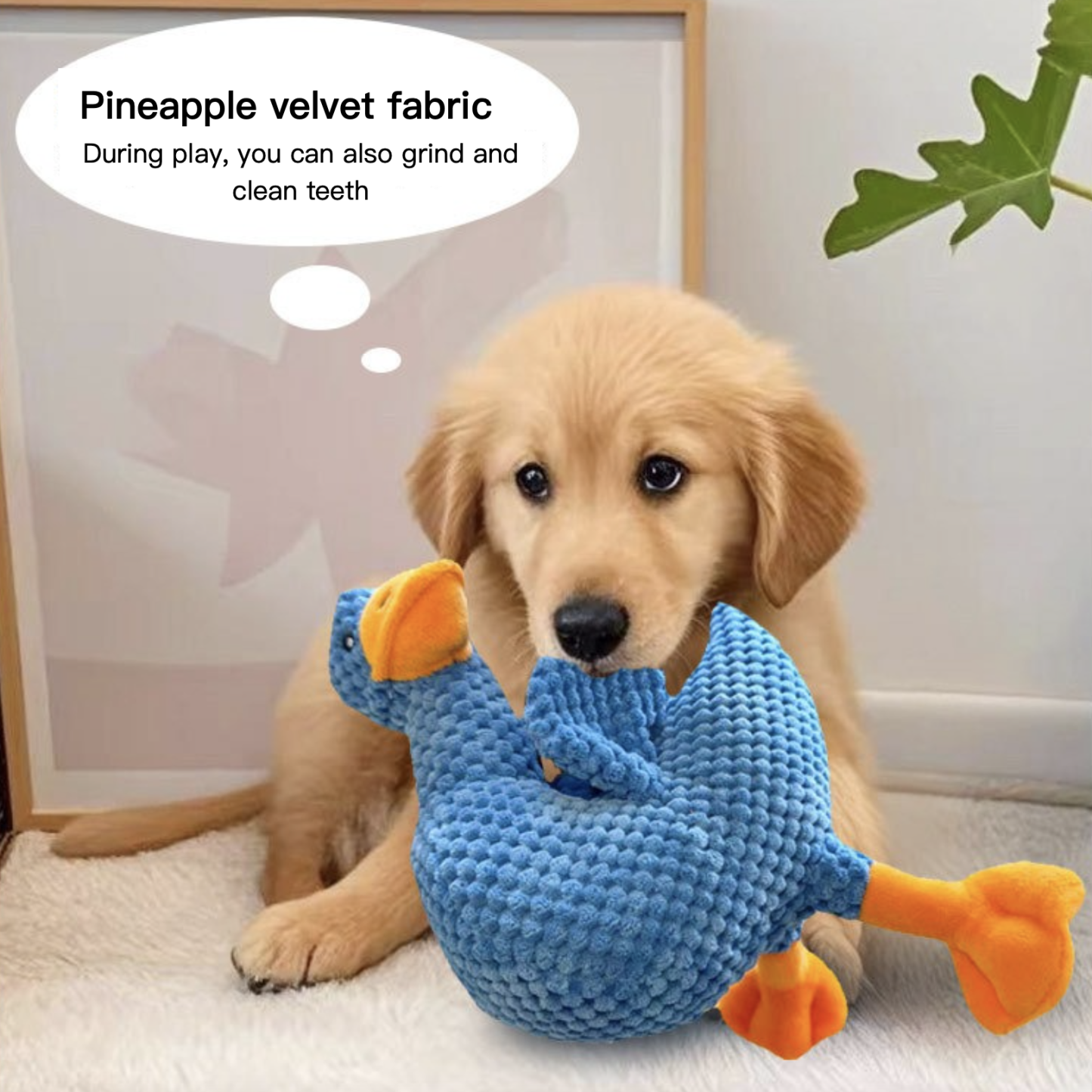 Squeaky Chewing Dog Toy Crooked Nosed Duck 3 Colors Blue Yellow Green