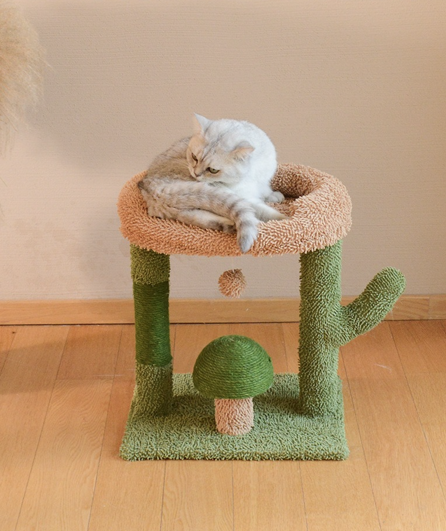 Integrated Small Cactus Cat Tree Sisal Cat Scratching Post For Climbing With Handing Ball