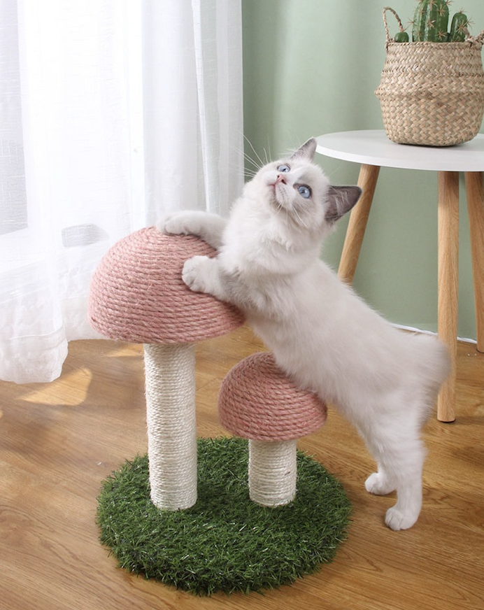 Cute Wood Double Mushroom Cat Scratching Post Sisal Wrapping For Climbing