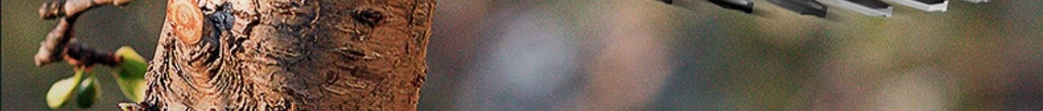 1716912005139888.jpg