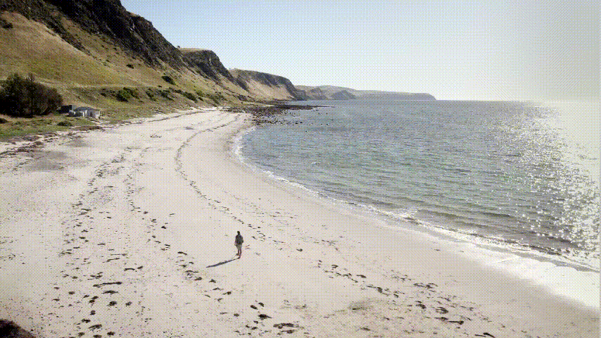 1724149169270449.gif